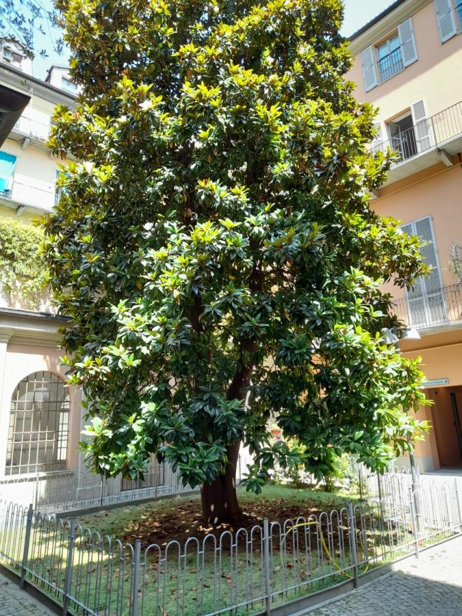 Central Garibaldi Loft, A Piedi A Palazzo Reale ตูริน ภายนอก รูปภาพ
